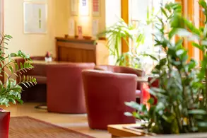 A cozy interior of a café or lounge featuring several potted plants and comfortable red seating. Natural light streams in through large windows, creating a warm and inviting atmosphere.