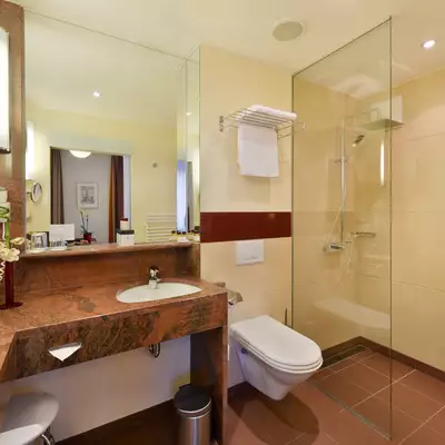 Modernes Badezimmer mit einer begehbaren Dusche aus Glas, einem Waschbecken auf einer marmornen Ablage und einem WC. Die Wände sind hell, und es gibt stilvolle Beleuchtung sowie handtuchhalter. Ein kleiner Abfalleimer und dekorative Elemente sind ebenfalls sichtbar.