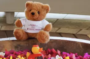 Ein weicher Teddy mit braunem Fell sitzt auf einer Schale, die mit bunten Blütenblättern gefüllt ist. In der Schale schwimmt eine kleine Gummiente. Der Teddy trägt ein T-Shirt mit der Aufschrift "HOTEL WIEN".