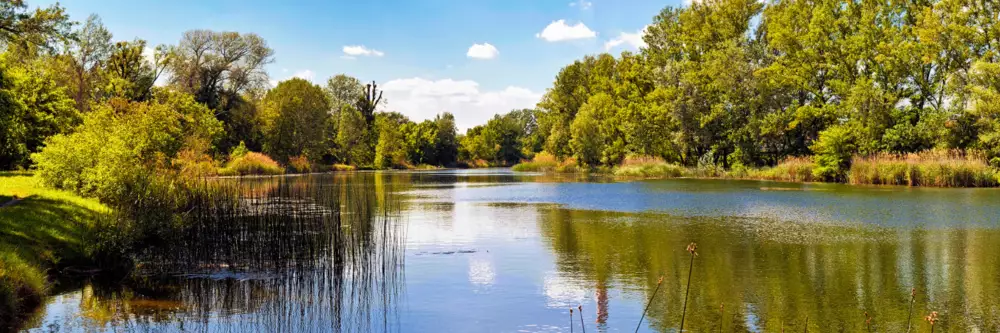 Ein ruhiger See umgeben von Bäumen und Gras. Der Himmel ist blau mit wenigen weißen Wolken, die sich im Wasser spiegeln. Die Landschaft vermittelt eine friedliche und natürliche Atmosphäre.