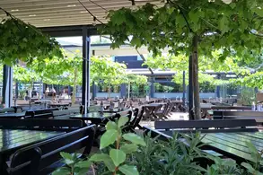 Eine Terrasse mit mehreren Tischen und Stühlen, umgeben von üppigem Grün und hängenden Pflanzen. Über dem Bereich sind Lichter angebracht, und im Hintergrund sind weitere Sitzgelegenheiten sichtbar. Der Ort wirkt einladend und gemütlich.