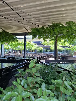 Eine Terrasse mit mehreren Tischen und Stühlen, umgeben von üppigem Grün und hängenden Pflanzen. Über dem Bereich sind Lichter angebracht, und im Hintergrund sind weitere Sitzgelegenheiten sichtbar. Der Ort wirkt einladend und gemütlich.