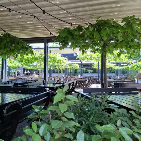 Eine Terrasse mit mehreren Tischen und Stühlen, umgeben von üppigem Grün und hängenden Pflanzen. Über dem Bereich sind Lichter angebracht, und im Hintergrund sind weitere Sitzgelegenheiten sichtbar. Der Ort wirkt einladend und gemütlich.